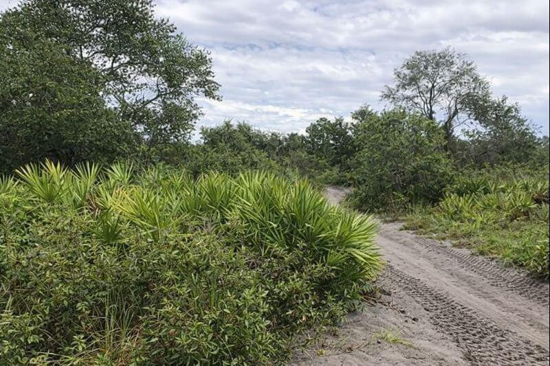 En Venta 0 Alturas Babson Park Cutoff Road, Lake Wales, FL 33859, Lake Wales, FL 33859