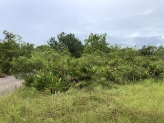 En Venta 0 US Hwy 27, Lake Wales, FL 33859, Lake Wales, FL 33859