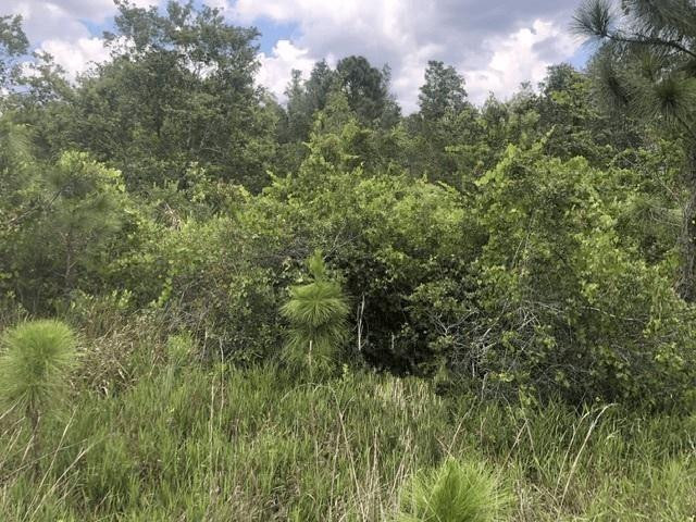 En Venta 0 Xeriscape Nursery Road, Frostproof, FL 33843, Frostproof, FL 33843