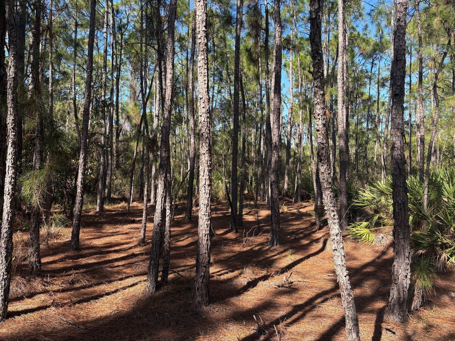 Foto de propiedad en 0 Fourth Avenue, St. Cloud, FL 34771 St. Cloud con MLS# 