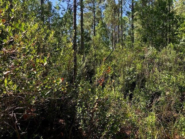 En Venta 0 Old Grade Road, FL 33868, FL 33868