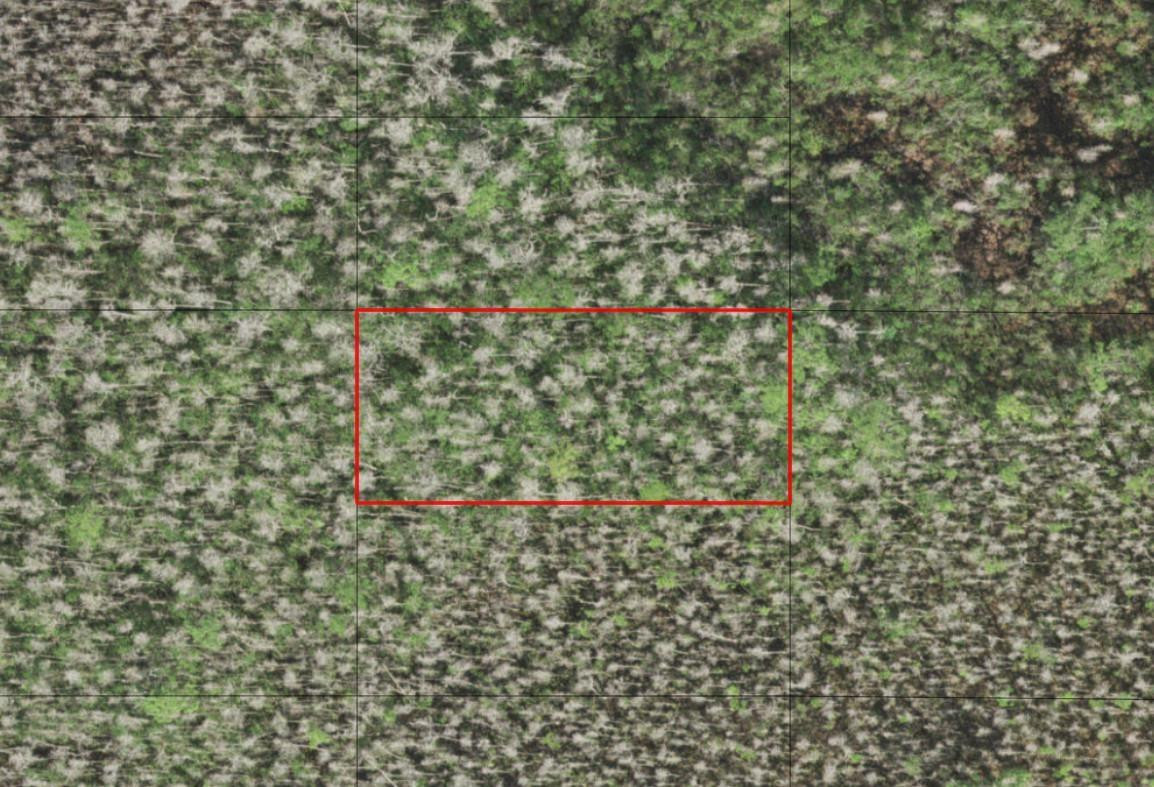 En Venta 0 Holopaw Groves Road, St. Cloud, FL 34772, St. Cloud, FL 34772