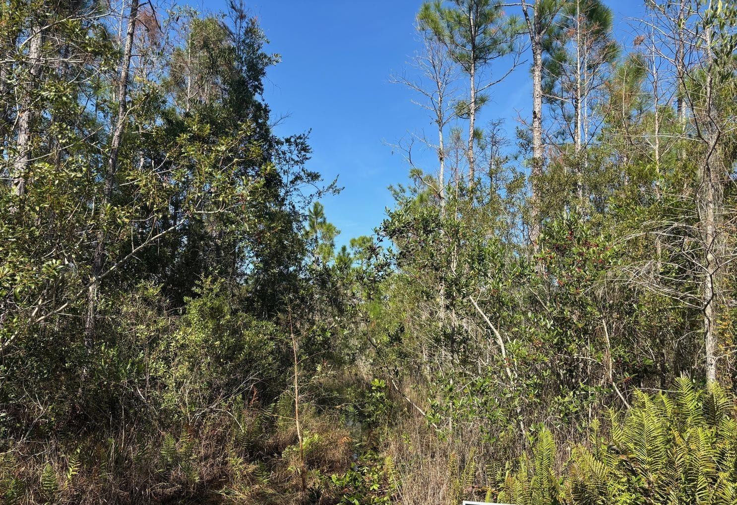 En Venta 0 Holopaw Groves Road, St. Cloud, FL 34772, St. Cloud, FL 34772