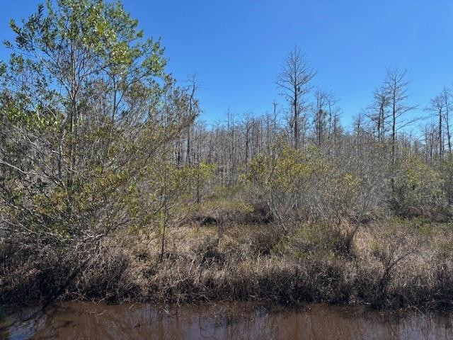 En Venta 0 Holopaw Groves Road, St. Cloud, FL 34772, St. Cloud, FL 34772
