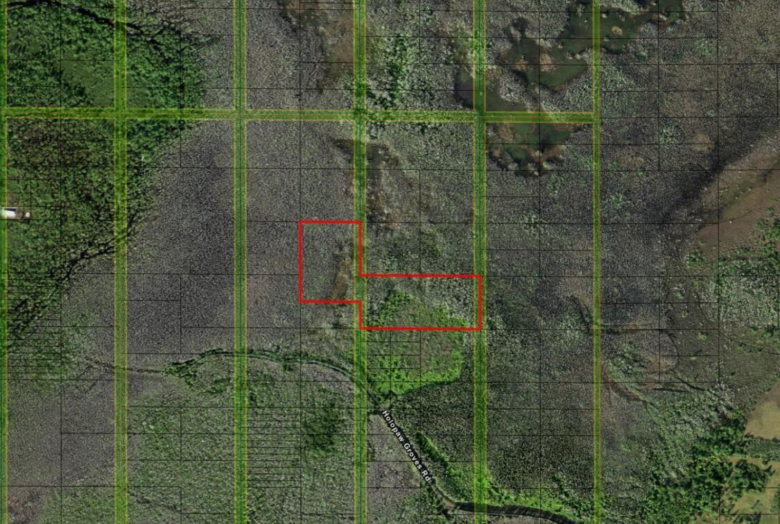 En Venta 0 Holopaw Groves Road, St. Cloud, FL 34772, St. Cloud, FL 34772