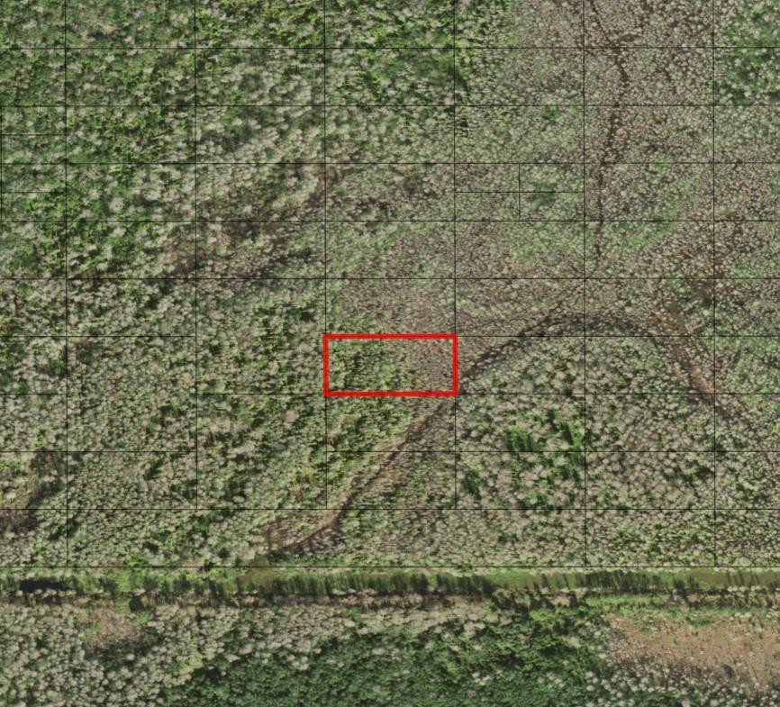 En Venta 0 Holopaw Groves Road, St. Cloud, FL 34772, St. Cloud, FL 34772