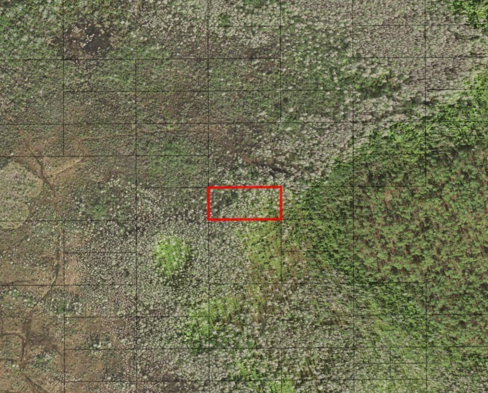 En Venta 0 Holopaw Groves Road, St. Cloud, FL 34772, St. Cloud, FL 34772