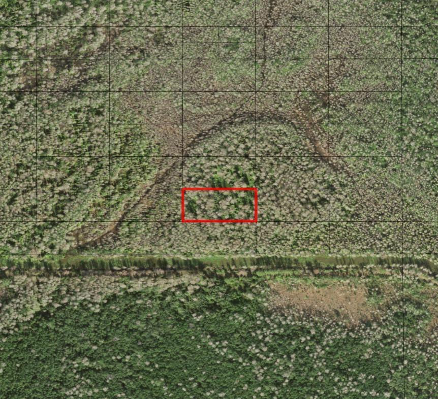 En Venta 0 Holopaw Groves Road, St. Cloud, FL 34772, St. Cloud, FL 34772