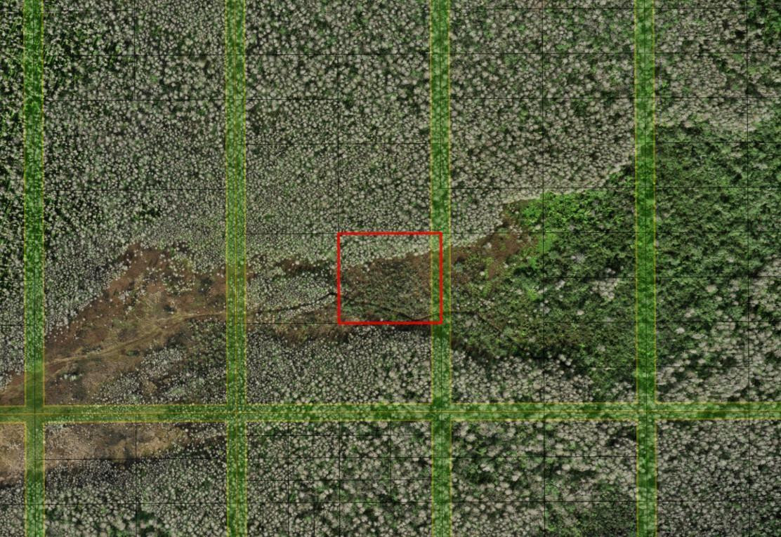 En Venta 0 Holopaw Groves Road, St. Cloud, FL 34772, St. Cloud, FL 34772