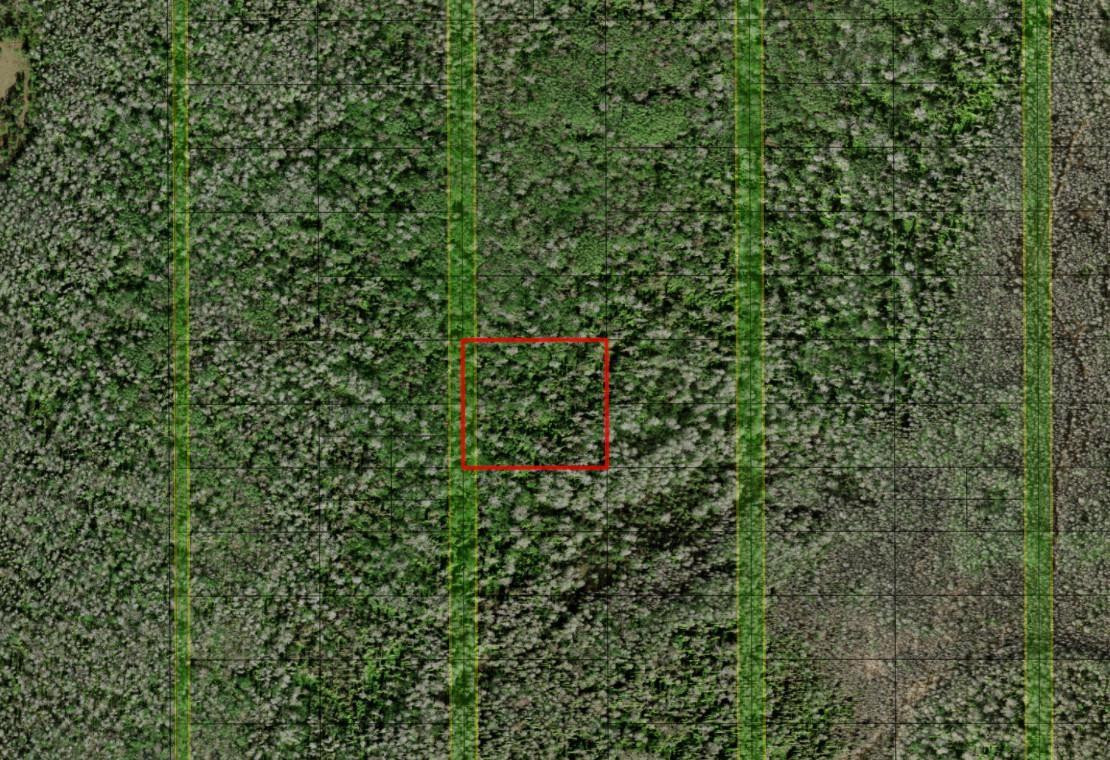 En Venta 0 Holopaw Groves Road, St. Cloud, FL 34772, St. Cloud, FL 34772