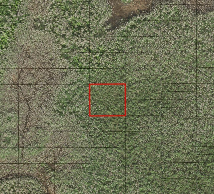 En Venta 0 Holopaw Groves Road, St. Cloud, FL 34772, St. Cloud, FL 34772