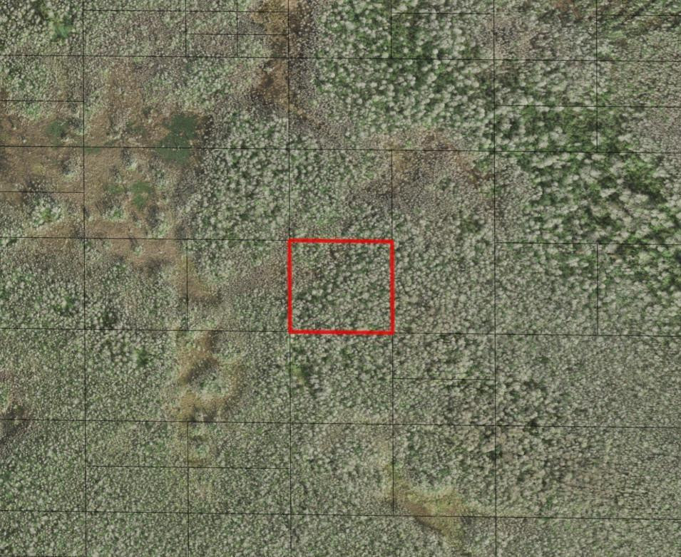 En Venta 0 Holopaw Groves Road, St. Cloud, FL 34772, St. Cloud, FL 34772