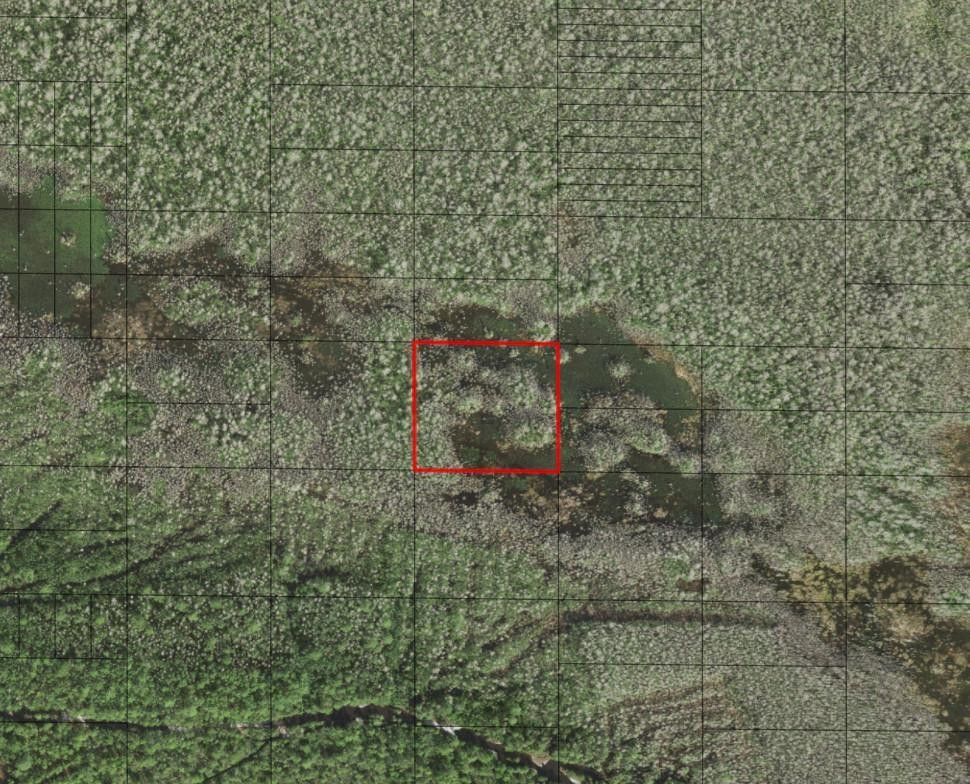 En Venta 0 Holopaw Groves Road, St. Cloud, FL 34772, St. Cloud, FL 34772