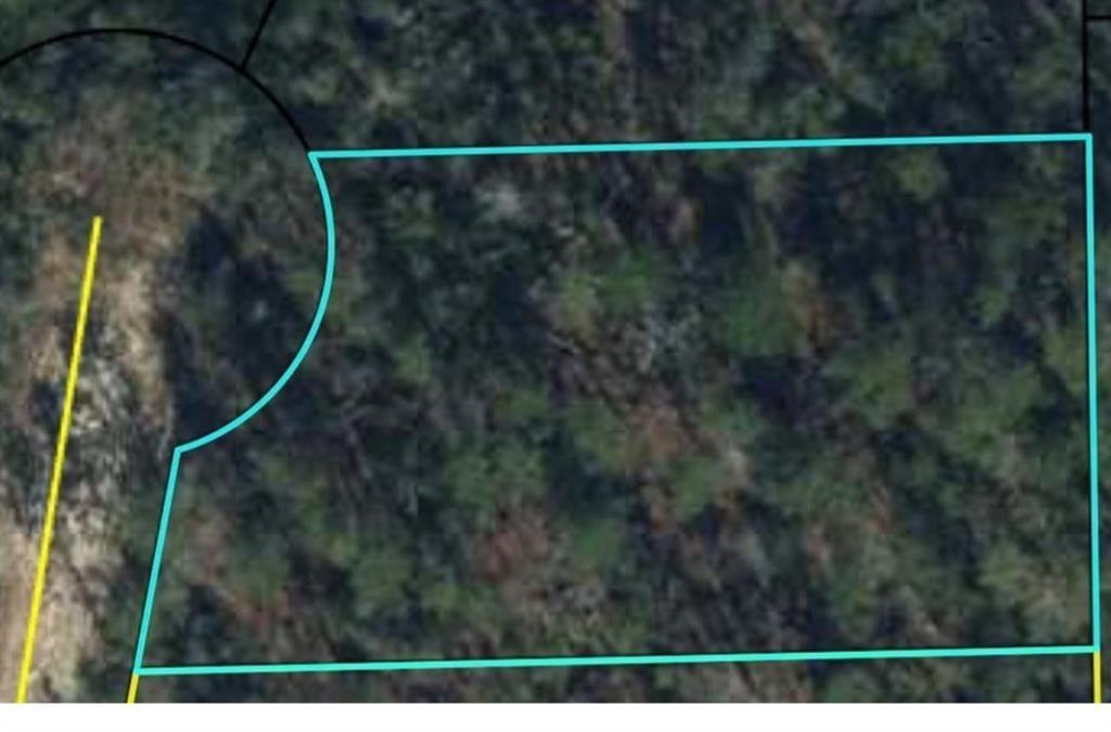 Foto de propiedad en 0 Rue, Marianna, FL 32448 Marianna con MLS# 