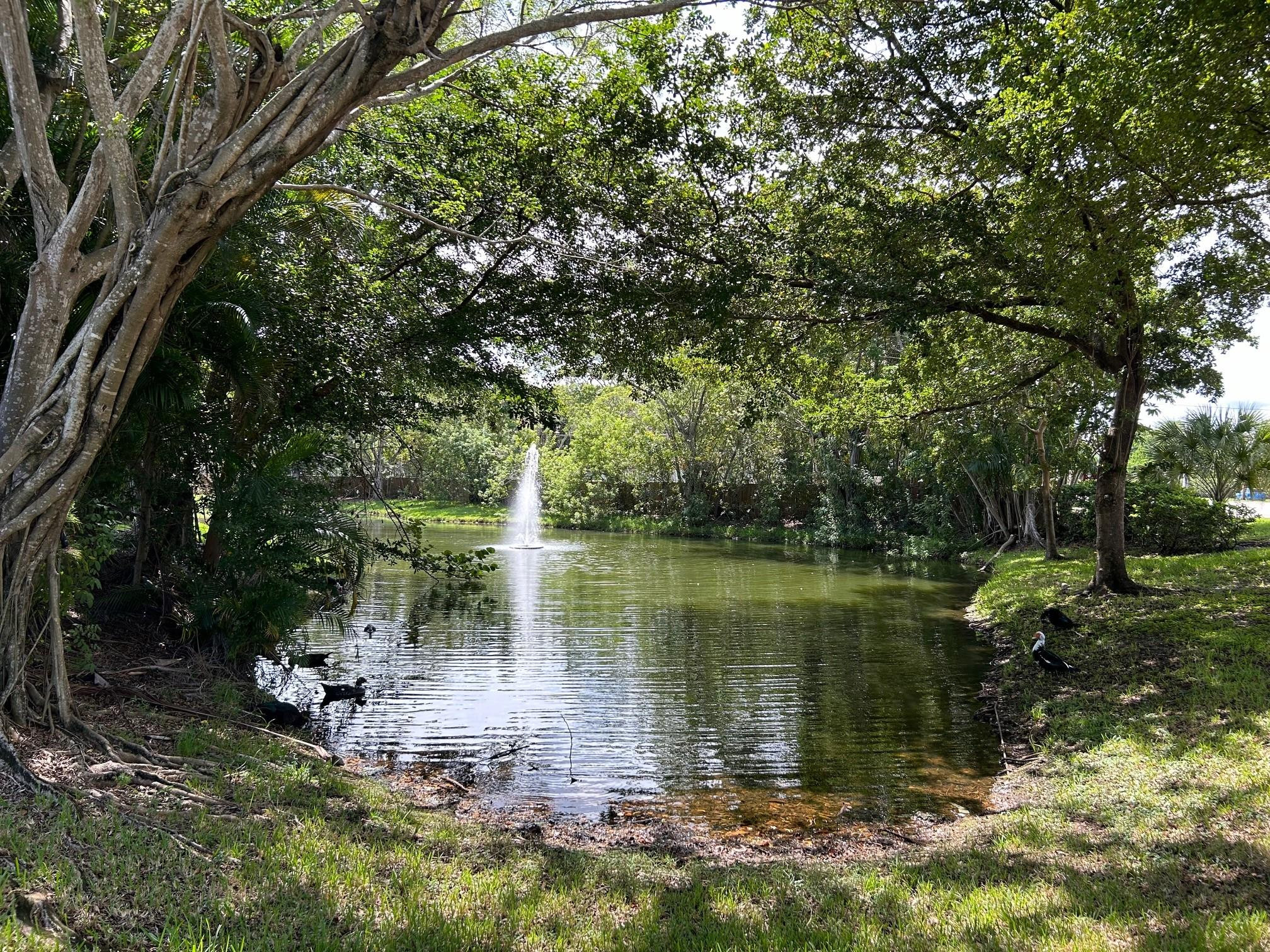 Foto de propiedad en 9999 Summerbreeze Drive 105, Sunrise, FL 33322 Sunrise con MLS# 