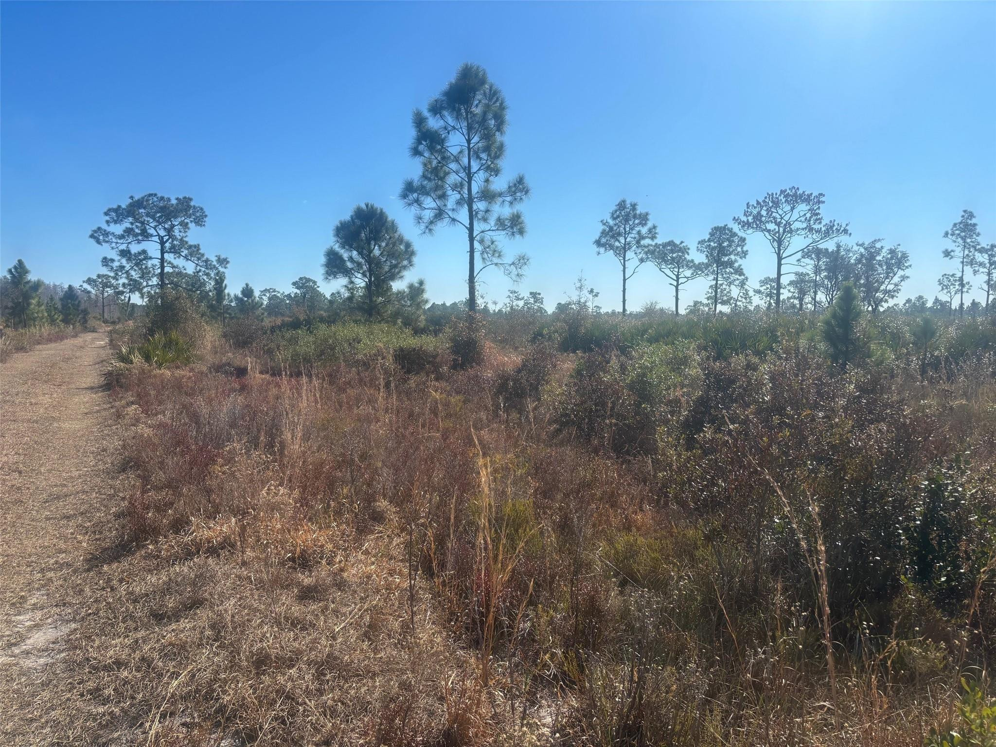 En Venta 0 Xeriscape Nursery Road, Frostproof, FL 33898, Frostproof, FL 33898