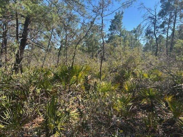 En Venta 10681 Interlacher Drive, Sebring, FL 33852, Sebring, FL 33852