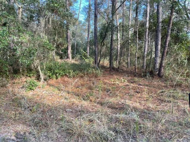 En Venta 417 Incline, Satsuma, FL 32189, Satsuma, FL 32189