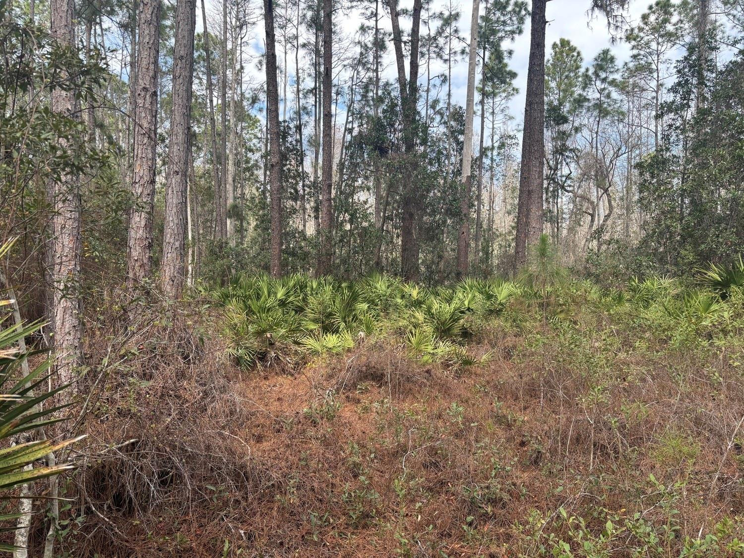 En Venta 0 Old Grade Road, FL 33868, FL 33868