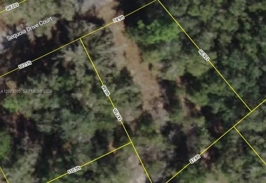 En Venta Lot 14 Lot 14 Sequoia Drive Court, Ocala, FL 32179, Ocala, FL 32179