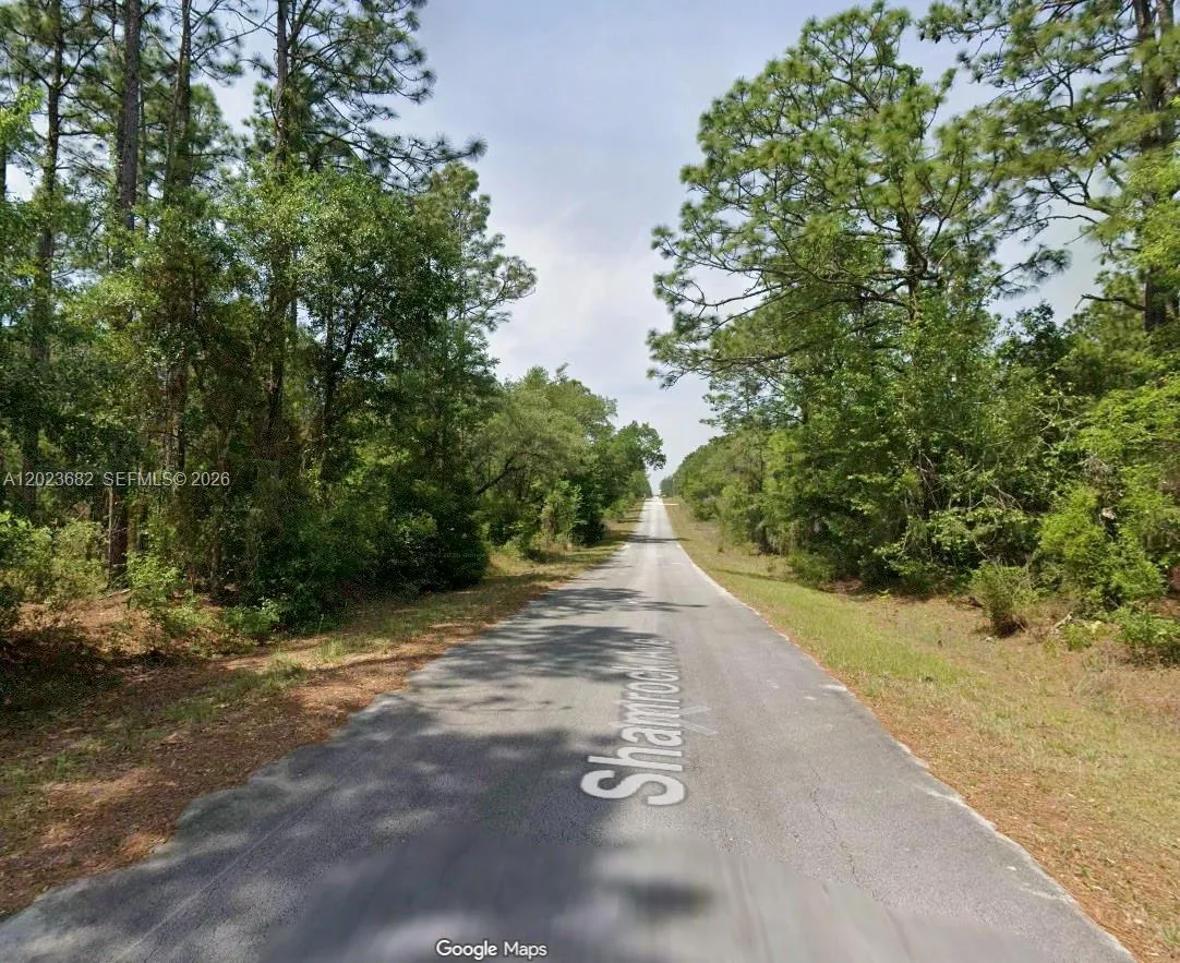 En Venta Lot 47 Lot 47 Shamrock Avenue, FL 34431, FL 34431