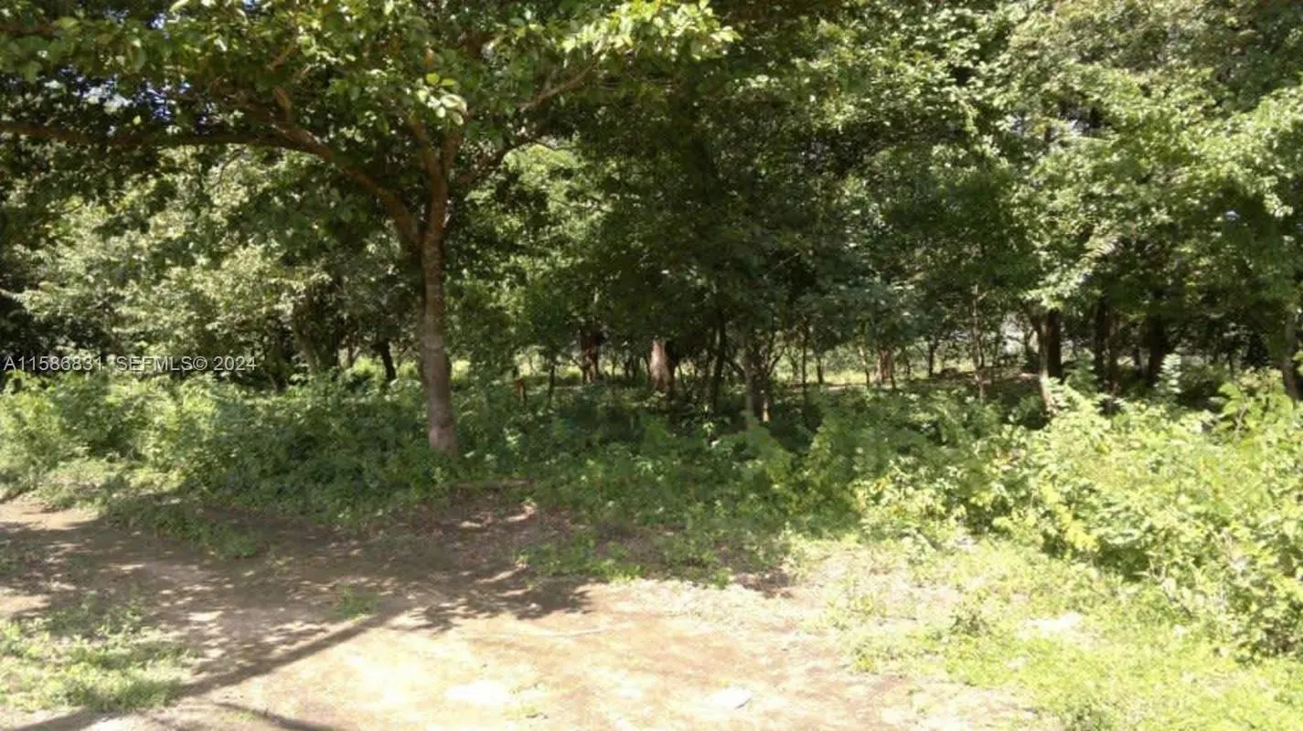 Foto de propiedad en No # No Frente A Carretera Y Aeropuerto 36 Hts C R  con MLS# 