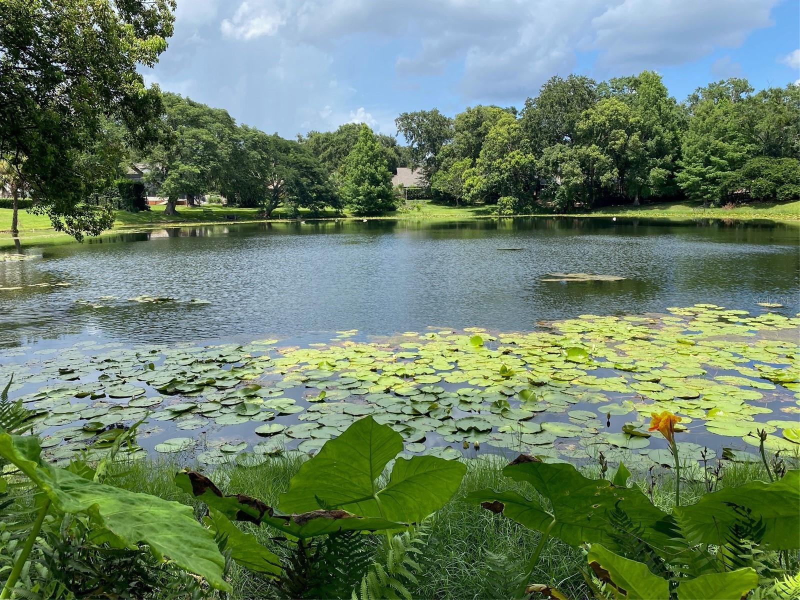Foto de propiedad en 1113 VIA DEL MAR WINTER PARK con MLS# O6379697
