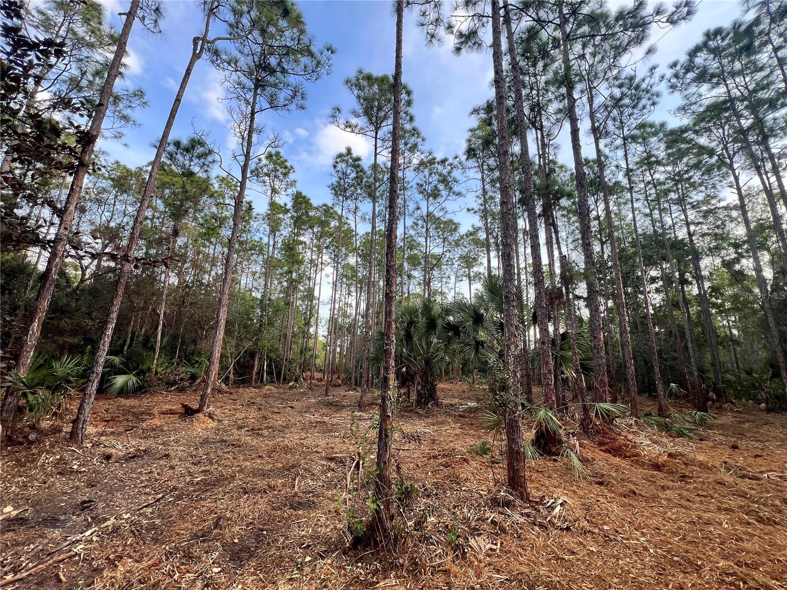 En Venta PANTERA LN, NAPLES, FL 34120
