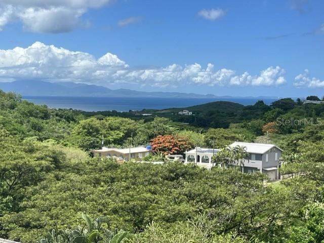 En Venta 15 BIRD'S NEST STUDIOS, VIEQUES, PR 00765