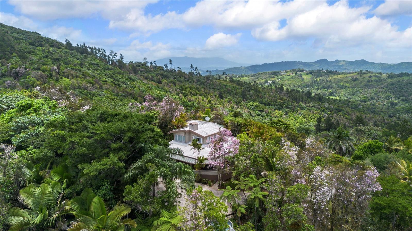 Foto de propiedad en PR-184 GUAVATE CAYEY con MLS# PR9122267