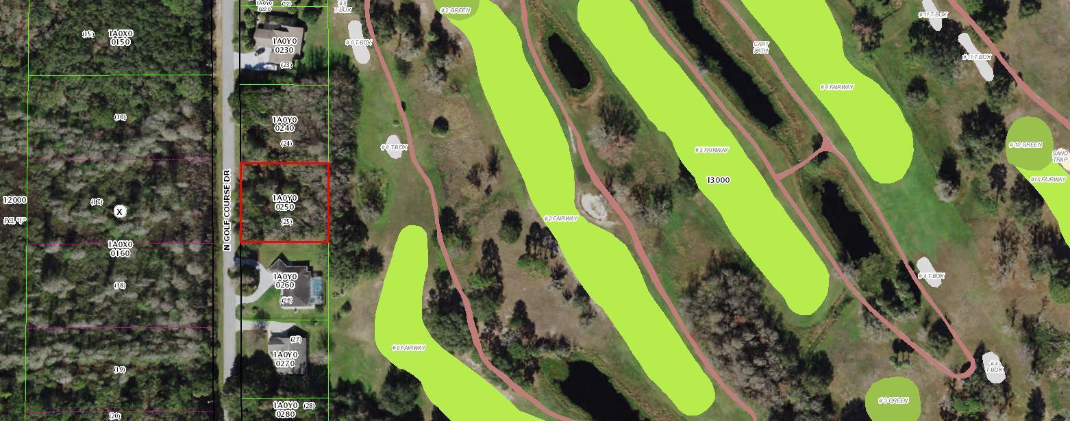 En Venta 603 N Golf Course Drive, Crystal River, FL 34429, Crystal River, FL 34429