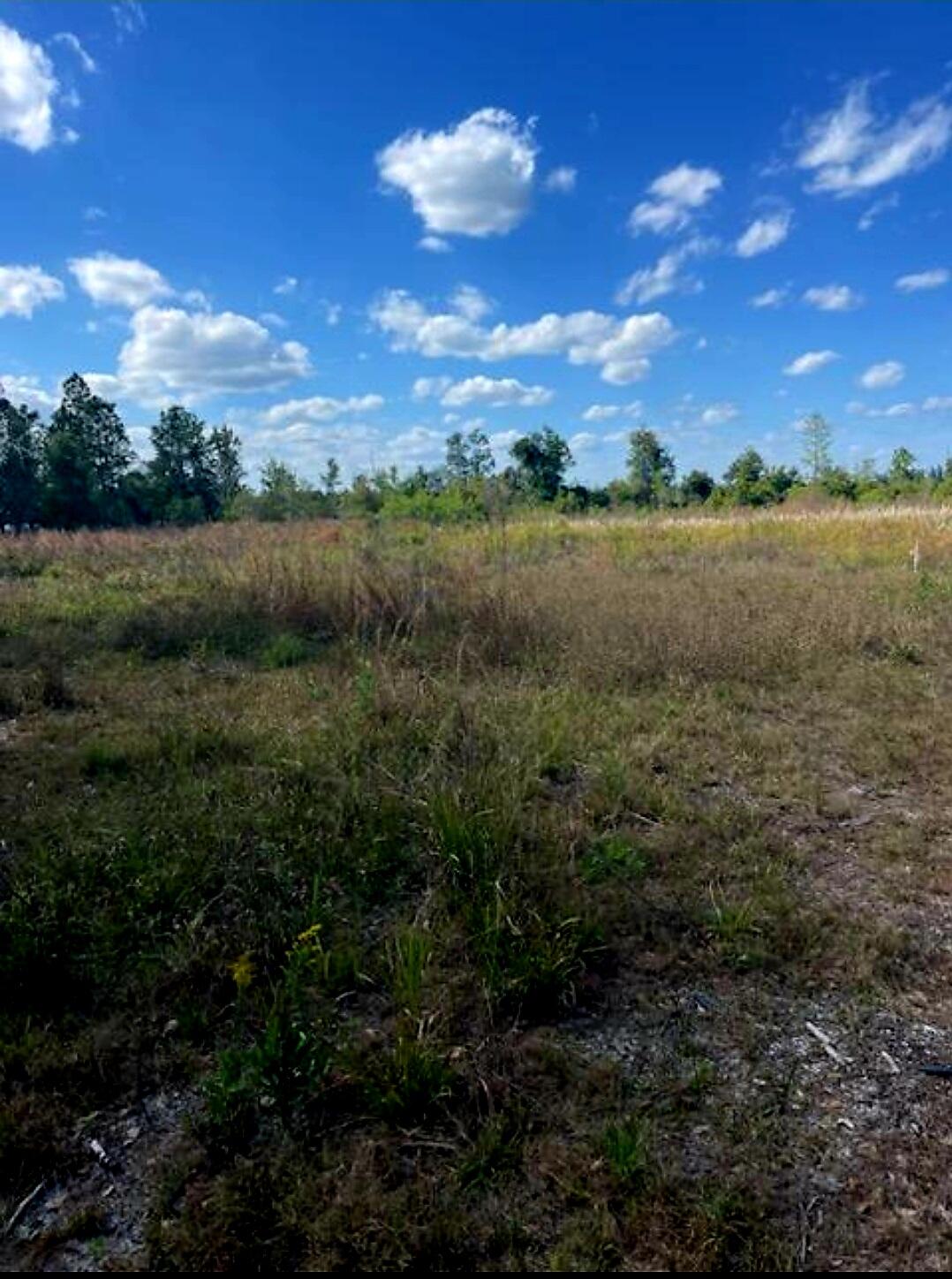 Foto de propiedad en 1108306 Oil Well Road, Clermont, FL 34714 Clermont con MLS# 