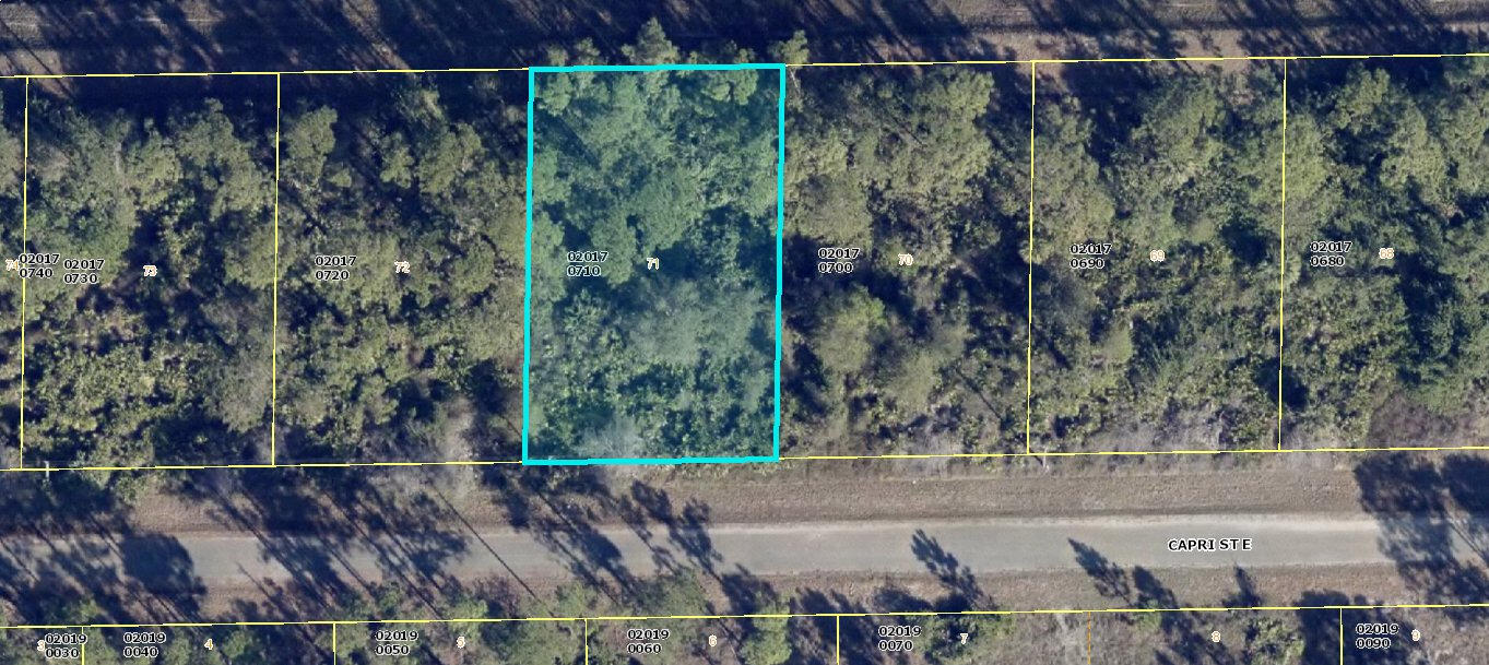 En Venta 1113 Capri Street E, Lehigh Acres, FL 33974, Lehigh Acres, FL 33974