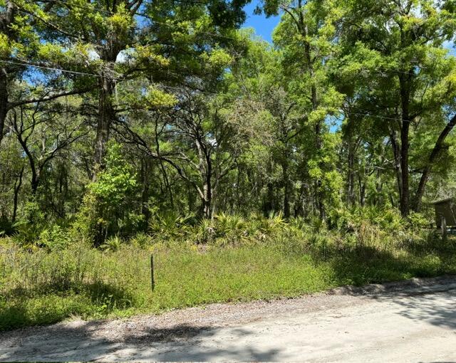 Foto de propiedad en Tbd NE 472nd Avenue, Old Town, FL 32680 Old Town con MLS# 