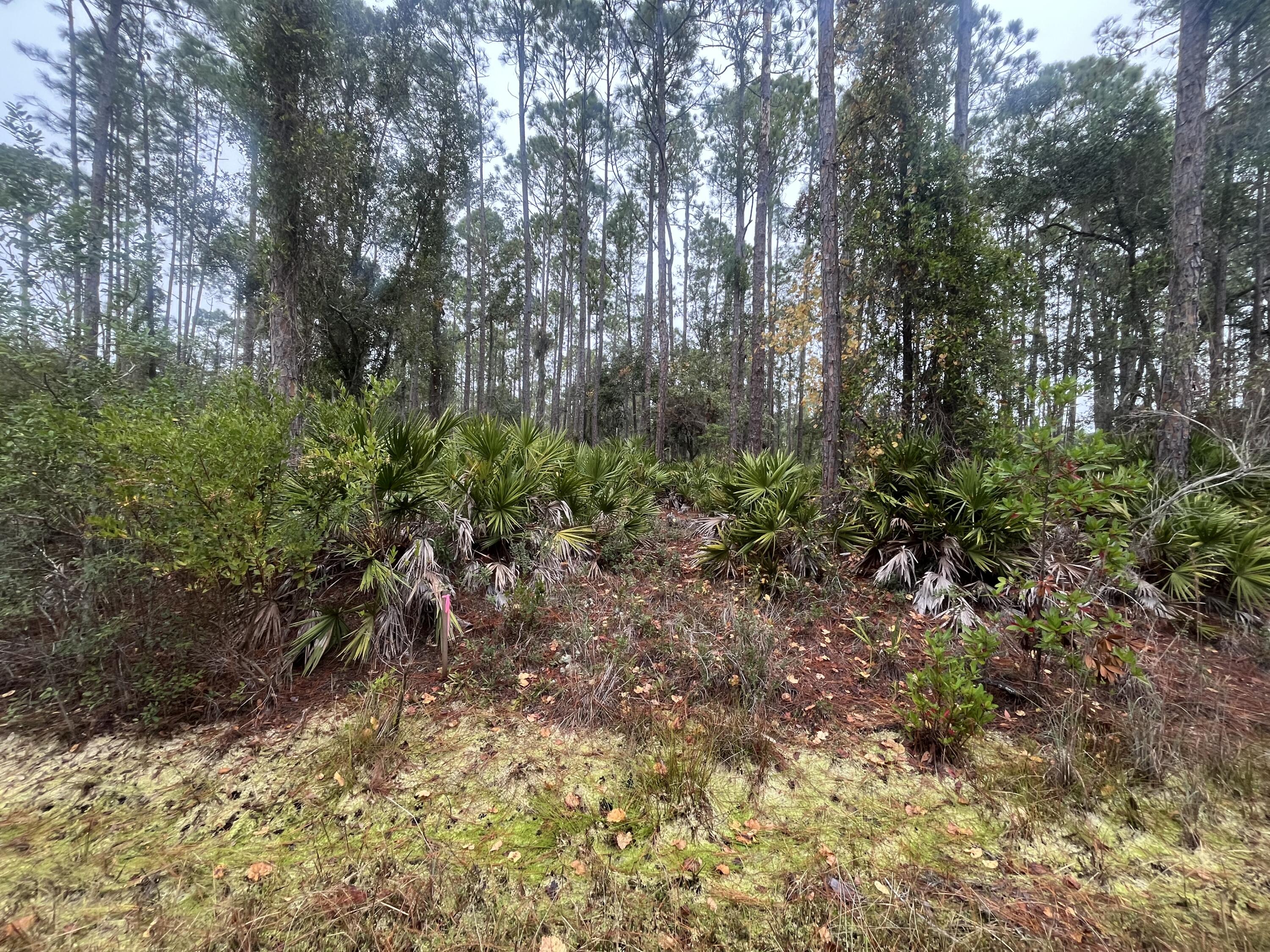 En Venta 222 Marie Avenue, Georgetown, FL 32139, Georgetown, FL 32139