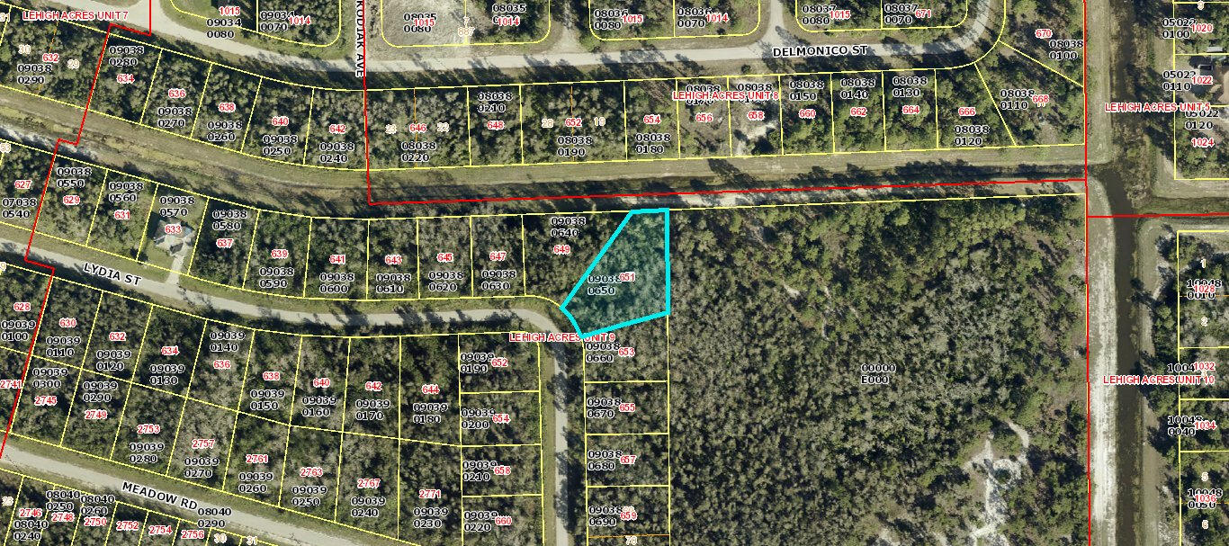 En Venta 651 Lydia Street, Lehigh Acres, FL 33974, Lehigh Acres, FL 33974