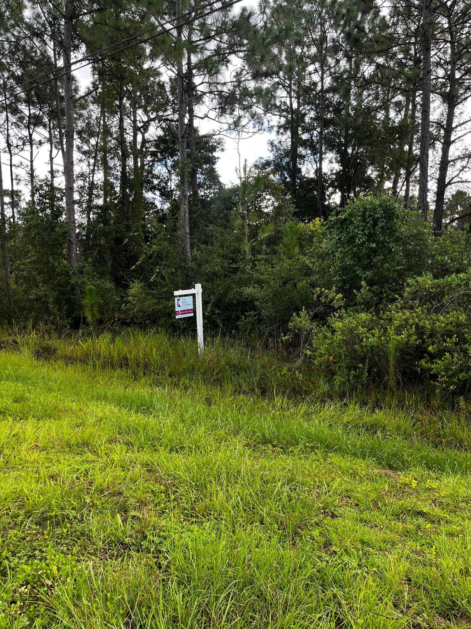 Foto de propiedad en 0 Sabal Street, Orlando, FL 32833 Orlando con MLS# 