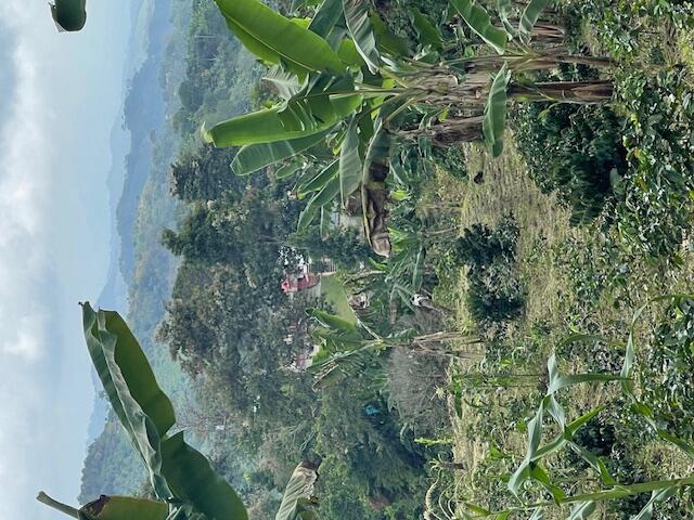 Foto de propiedad en Colombia El Hatillo, Mariquita, Tol, Co  con MLS# 