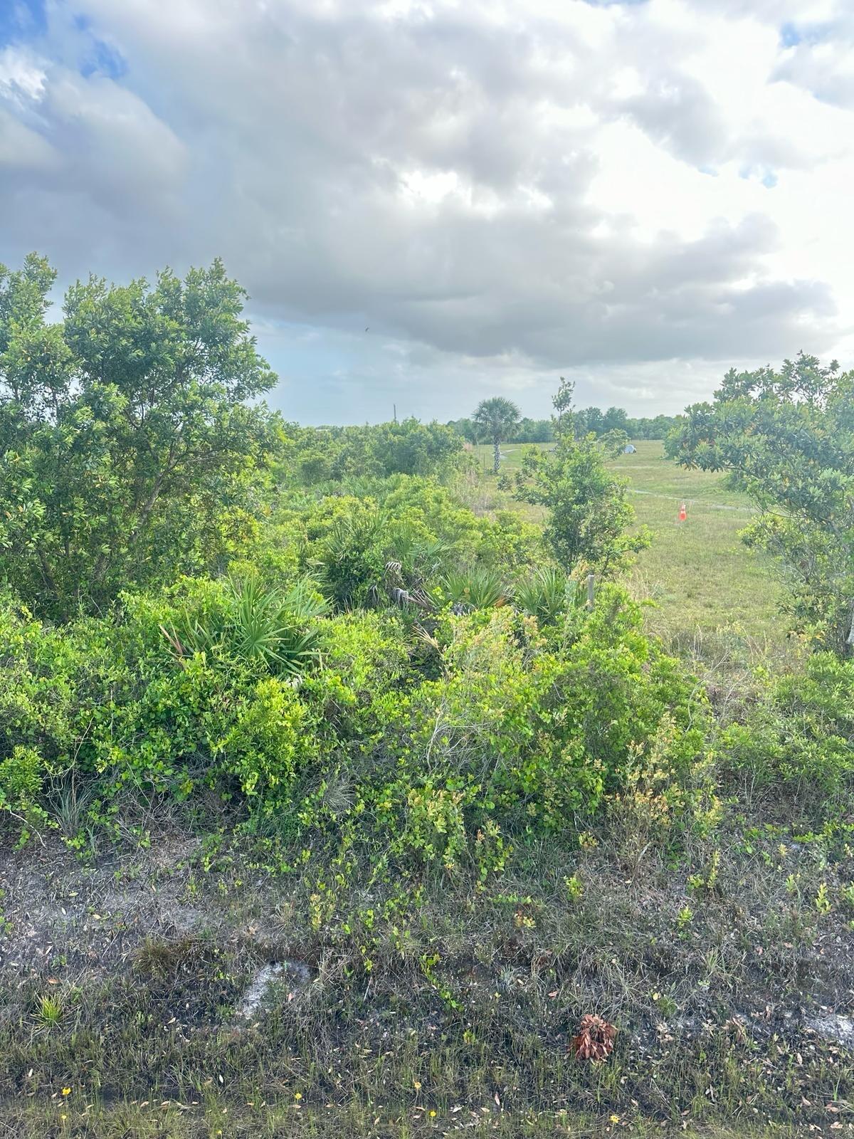 Foto de propiedad en 16220 NW 264th Street, Okeechobee, FL 34972 Okeechobee con MLS# 