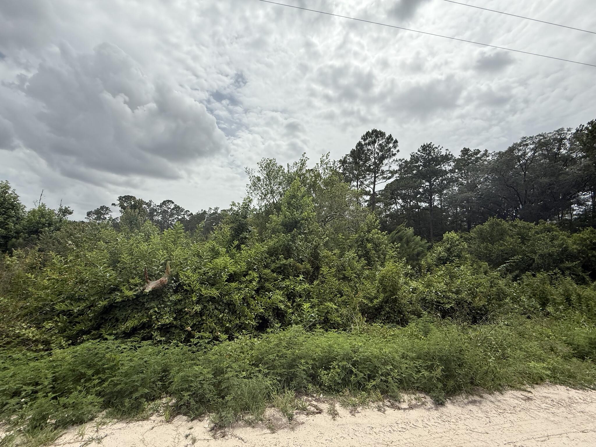 En Venta 129 Fishermans Drive, Interlachen, FL 32148, Interlachen, FL 32148
