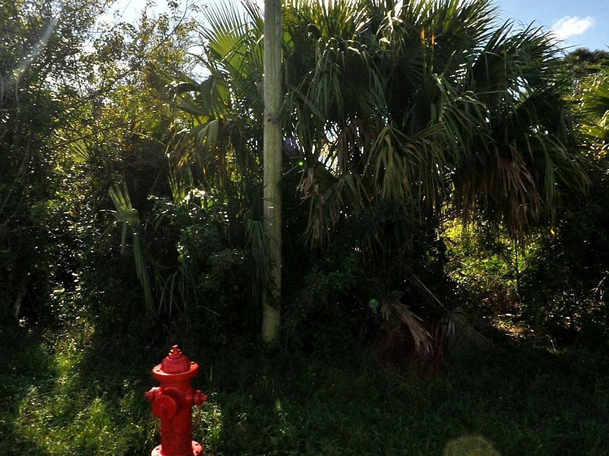Foto de propiedad en 884 SW Mccoy Avenue, Port St. Lucie, FL 34953 Port St. Lucie con MLS# 