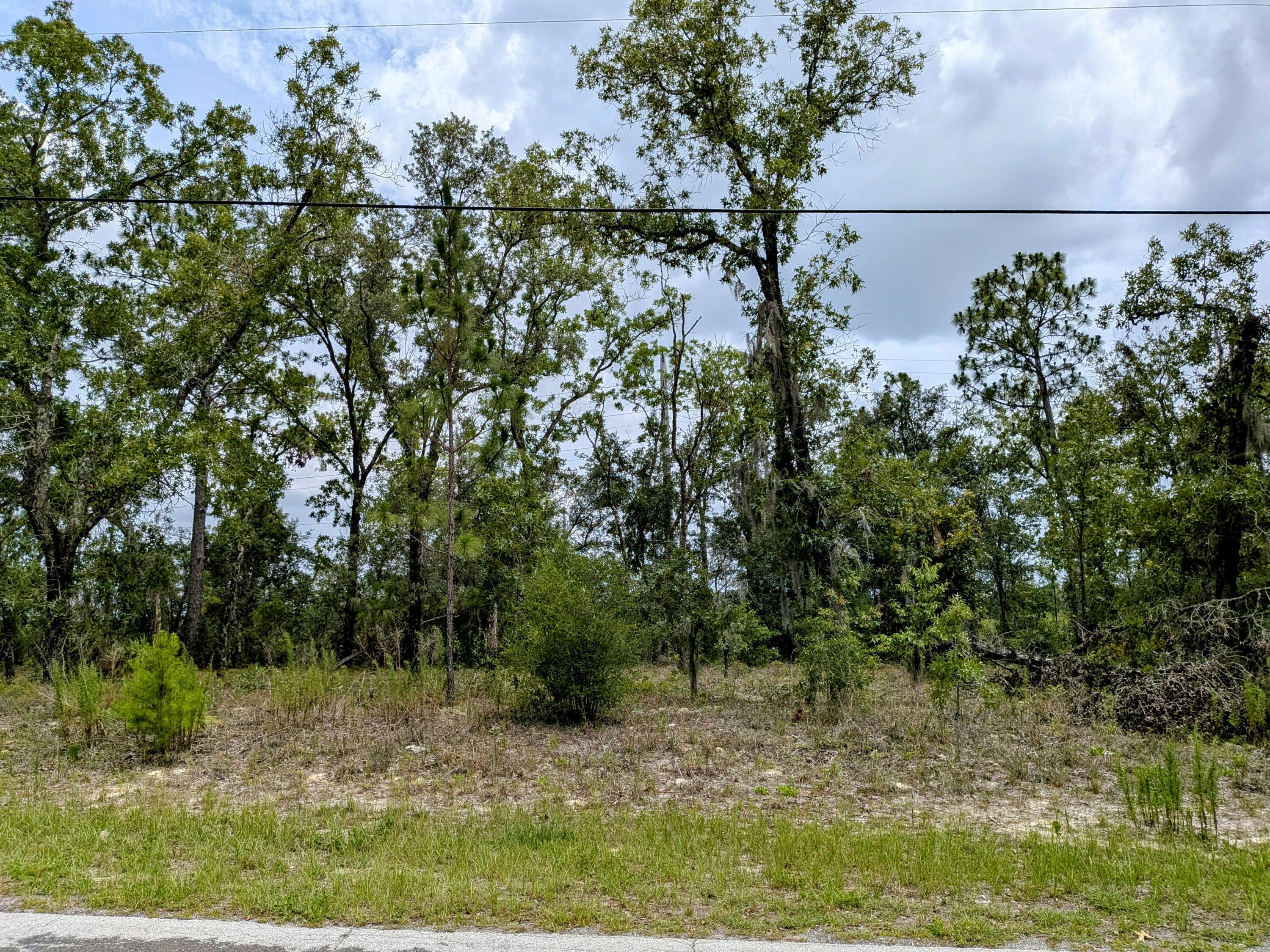 En Venta 2450 W Rutland Drive, Citrus Springs, FL 34434, Citrus Springs, FL 34434