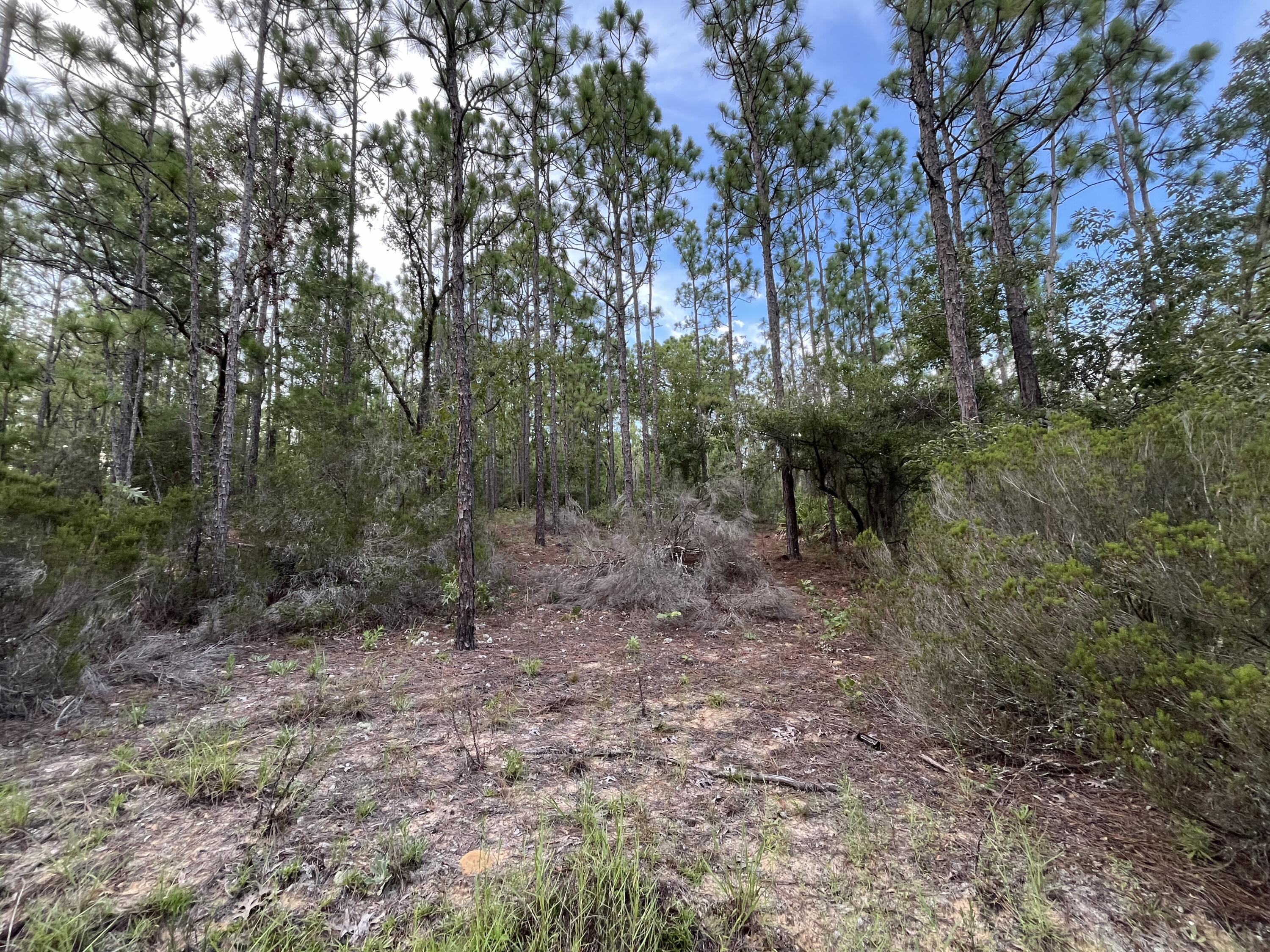 En Venta 124 New York Avenue, Interlachen, FL 32148, Interlachen, FL 32148