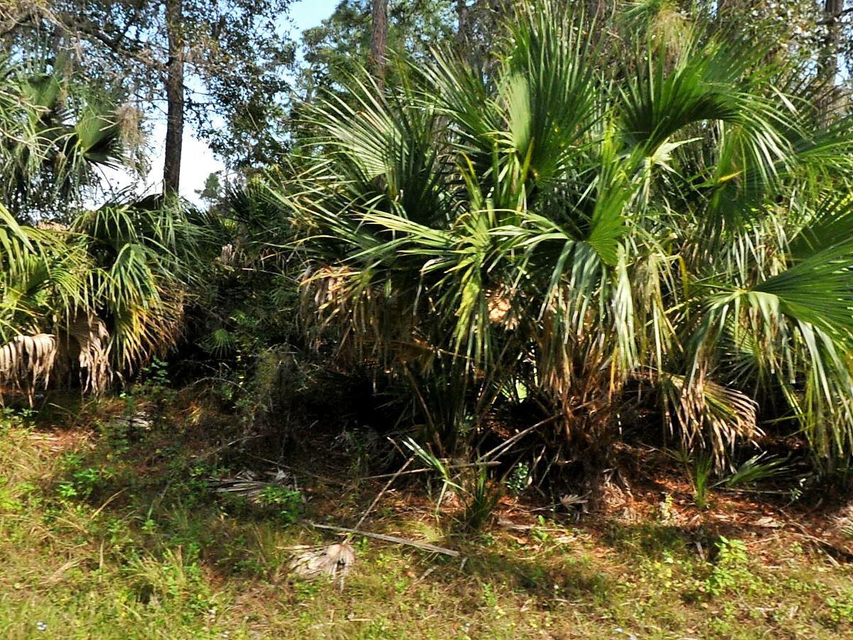 En Venta Tbd Abbington Street, North Port, FL 34286, North Port, FL 34286