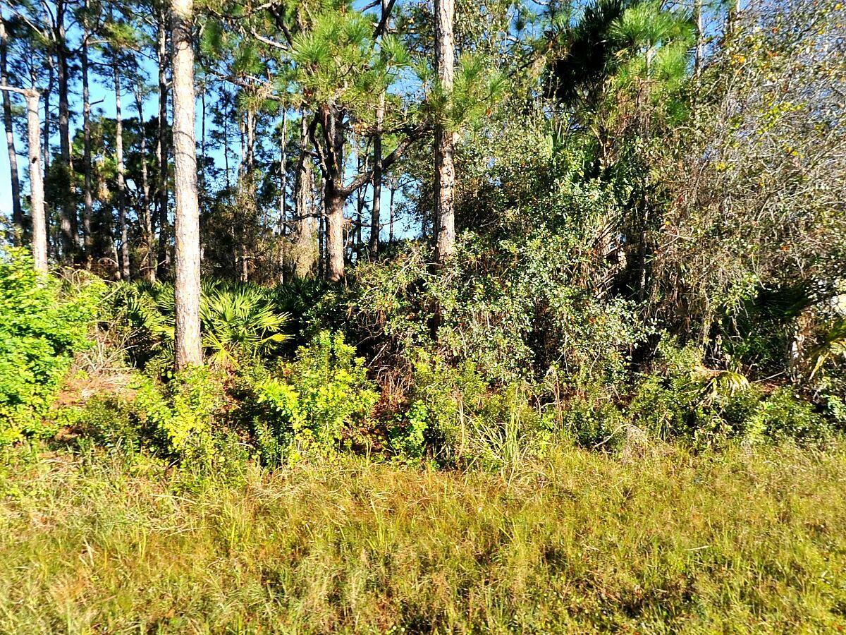 En Venta 0 Rosa Avenue, North Port, FL 34286, North Port, FL 34286