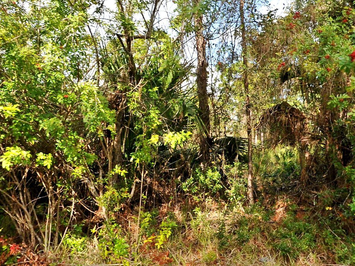 En Venta 0 Haffenberg Ave Avenue, North Port, FL 34288, North Port, FL 34288