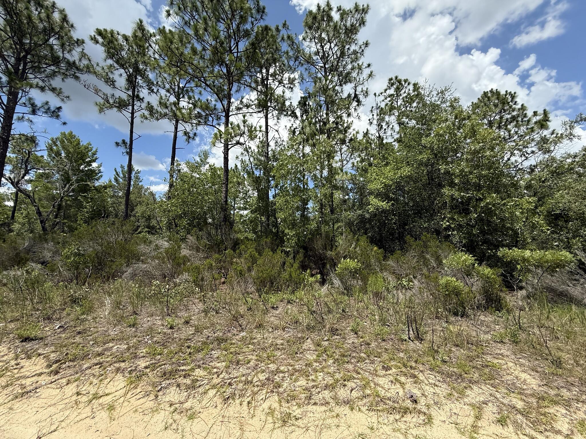 En Venta 187 Paris Street, Interlachen, FL 32148, Interlachen, FL 32148
