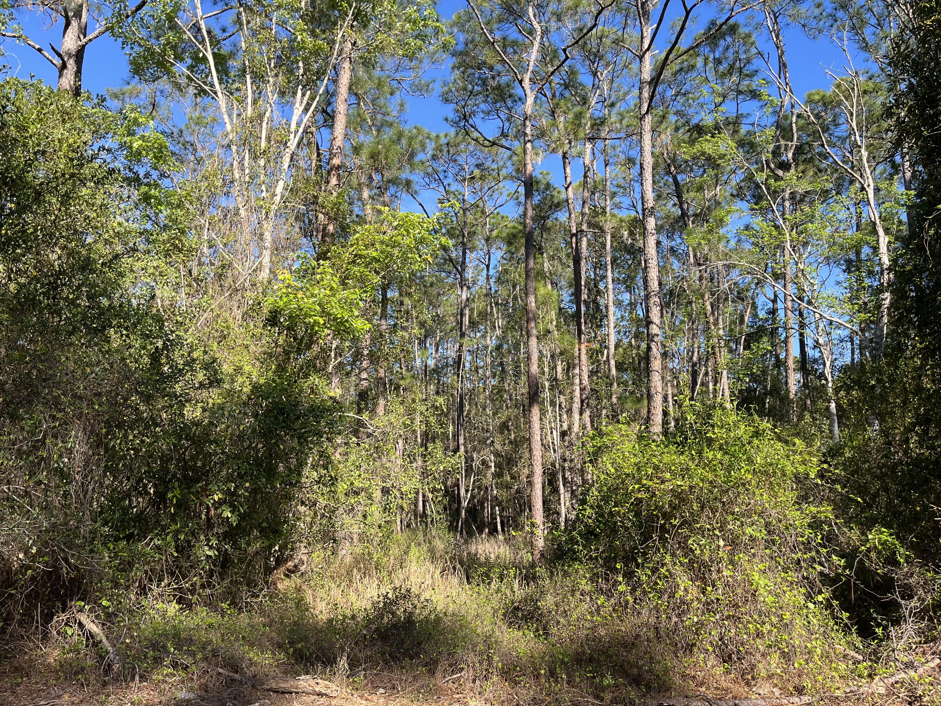 En Venta 208 SE 3rd Street, Georgetown, FL 32139, Georgetown, FL 32139