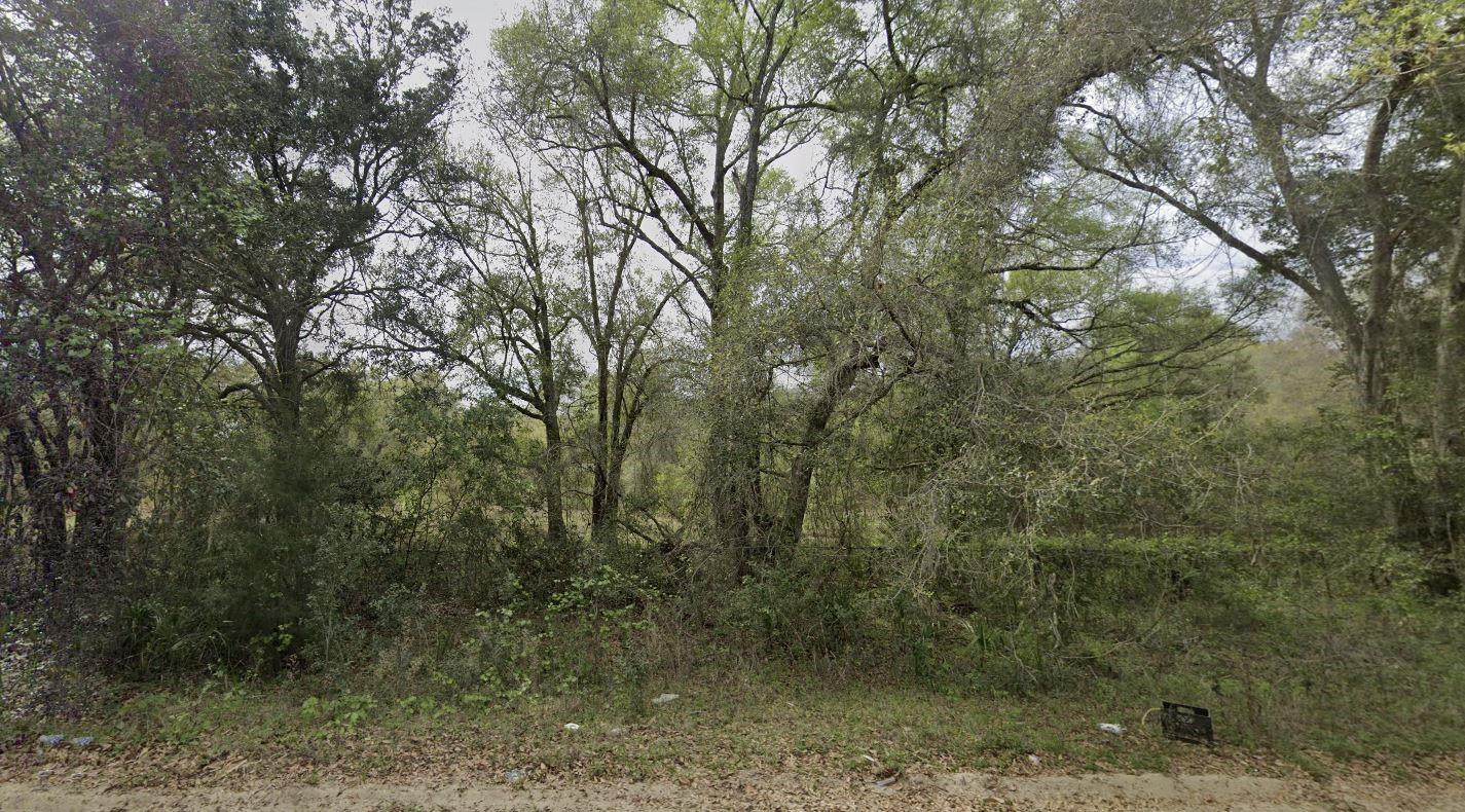 En Venta 305 Milton Avenue, Interlachen, FL 32148, Interlachen, FL 32148