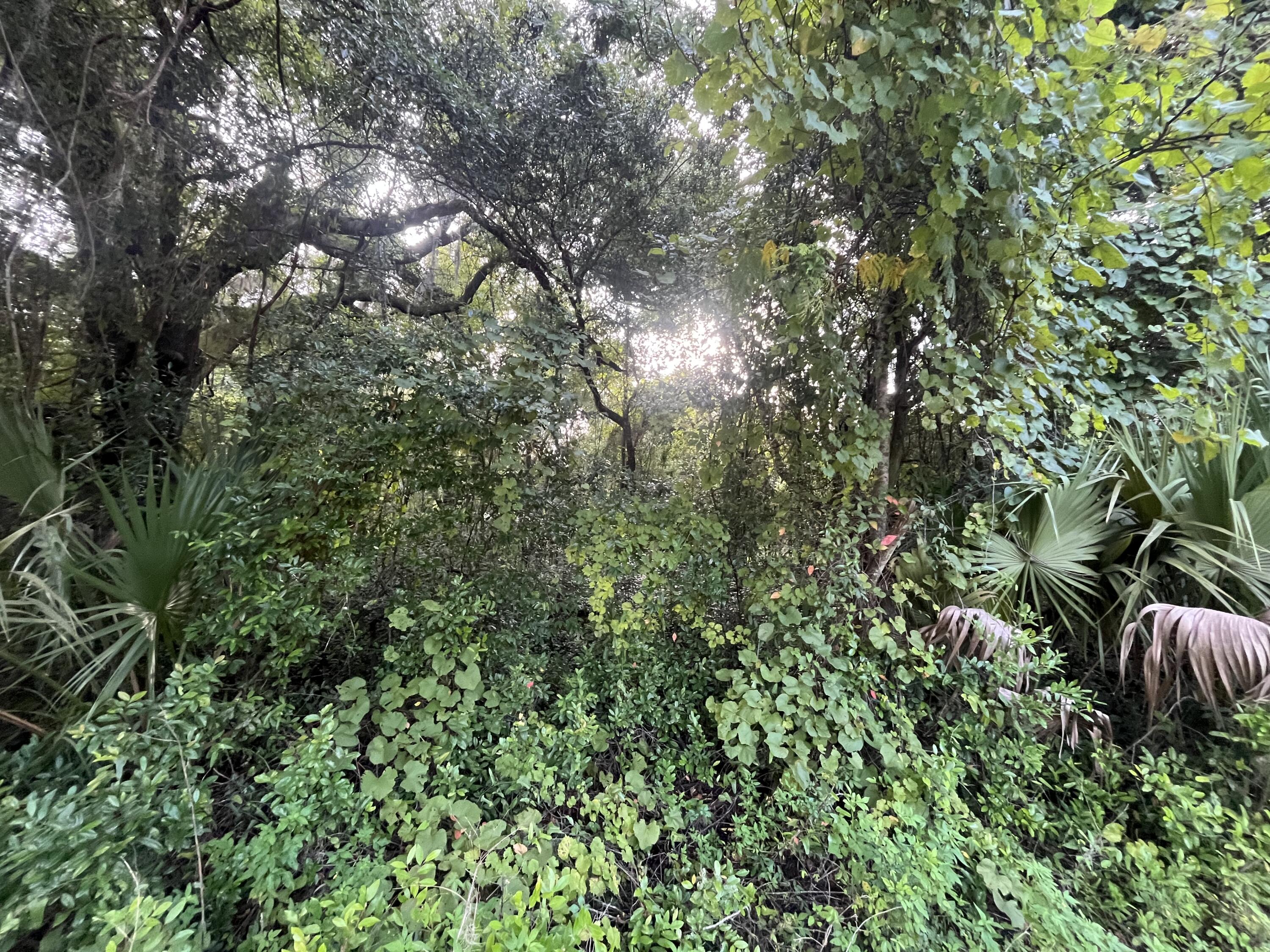 En Venta 915 Annette Avenue, Interlachen, FL 32148, Interlachen, FL 32148